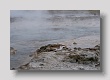 GEYSIR 4